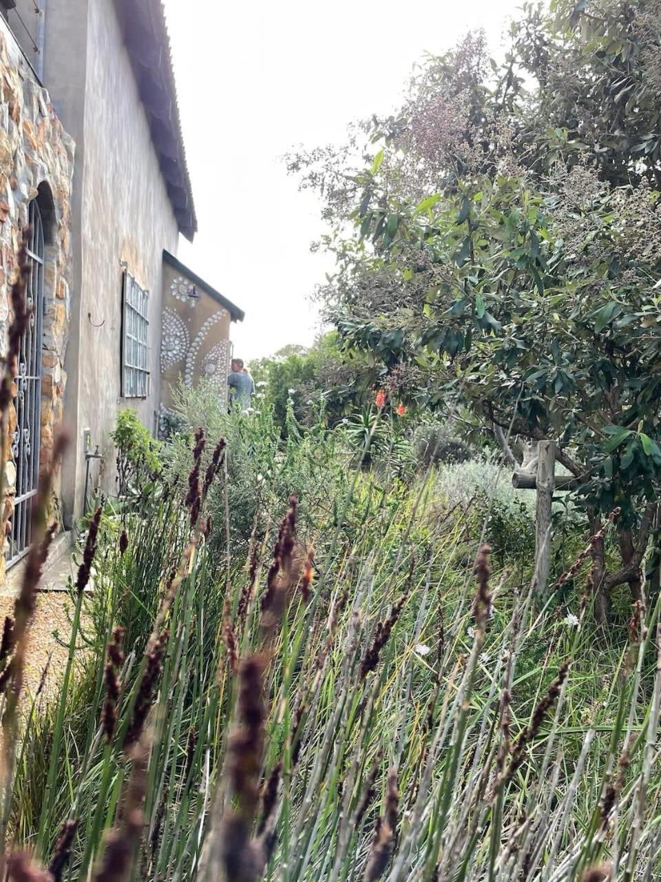 Nest * Pringle Bay